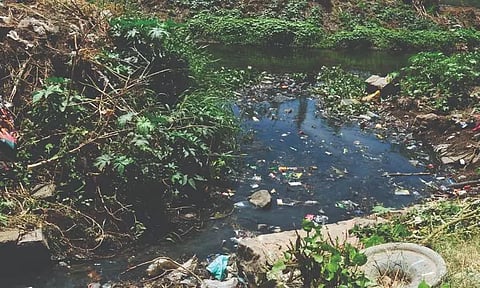 பாசன வாய்க்காலில் கலக்கும் சாக்கடை கழிவுகள்