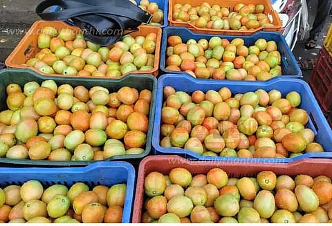 மாரண்டஅள்ளி பகுதியில் தக்காளி கிலோ ரூ.140-க்கு விற்பனைஇல்லத்தரசிகள் அதிர்ச்சி