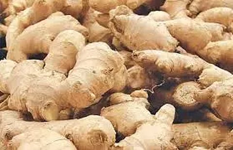 இஞ்சி ஒரு கிலோ ரூ.280-க்கு விற்பனை