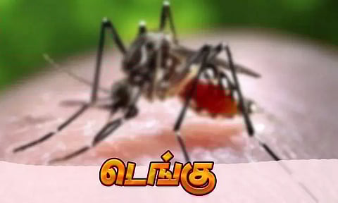 ஒரு வயது பெண் குழந்தைக்கு டெங்கு காய்ச்சல்