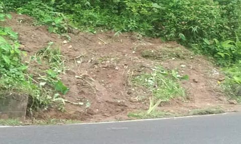 தேவாலாவில் மழைநீர் வடிகால் வாய்க்காலை தூர்வார கோரிக்கை