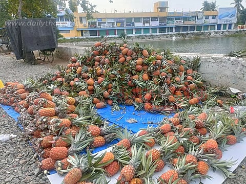 அன்னாசி பழங்கள் விற்பனை அமோகம்