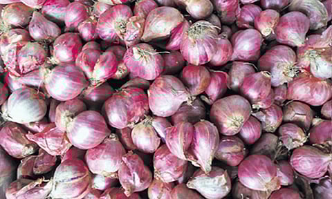 கோயம்பேடு சந்தையில், வெங்காயம் விலை ஒரே நாளில் ரூ.50 உயர்வு..!