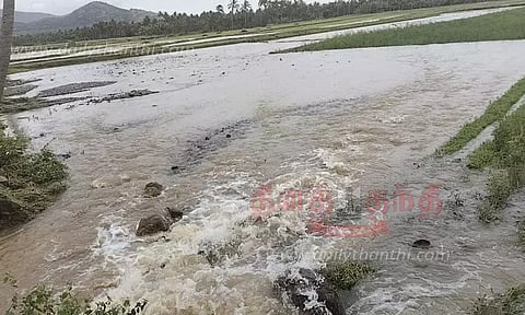 செங்கோட்டை அருகே குளத்தின் கரையில் திடீர் உடைப்பு