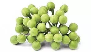 வரத்து குறைந்ததால்சுண்டைக்காய் விலை ஒரே நாளில் கிலோ ரூ.10 உயர்வுவிவசாயிகள் மகிழ்ச்சி