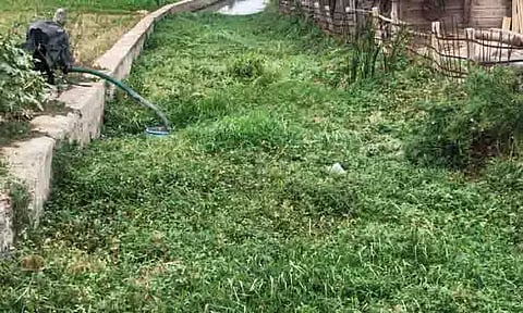 புதர் மண்டி கிடக்கும் ராஜவாய்க்கால்