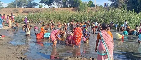 மாங்குளத்தில் மீன் பிடி திருவிழா