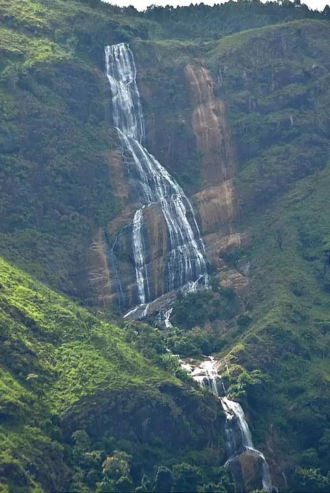 கொடைக்கானலில் சாரல் மழை