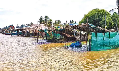 மரக்காணத்தில் திடீர் கடல் சீற்றத்தால் குடியிருப்புகளில் கடல்நீர் புகுந்தது; 20 படகுகள் சேதம்; மீனவர்கள் அதிர்ச்சி
