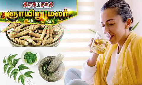 மழைக் கால நோய்களை தடுக்கும் மூலிகைகள்