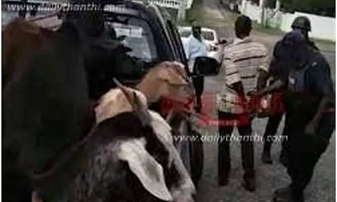 ஆடு வாங்க கொடுத்த பணத்தை பதுக்கிவிட்டு 2 ஆடுகளை திருடிச்சென்றவர் கைது