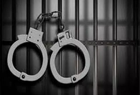 தளியில் டிராக்டர் டிரைவருக்கு அரிவாள் வெட்டு2 பேர் கைது