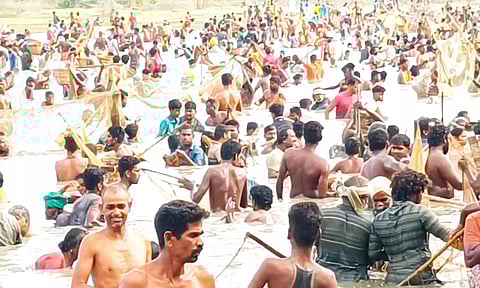 கண்டனி கண்மாயில் மீன்பிடி திருவிழா