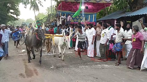 மாடு, குதிரை வண்டி பந்தயம்