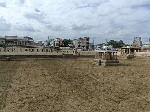 பொற்றாமரை குளத்தில் செடி, கொடிகளை அகற்றி சுத்தம் செய்யும் பணி