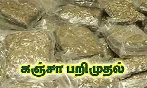 ஒடிசாவில் இருந்து ரெயிலில் கடத்தி வந்த 25 கிலோ கஞ்சா பறிமுதல்; ஒடிசா ஆசாமிகள் 2 பேர் கைது