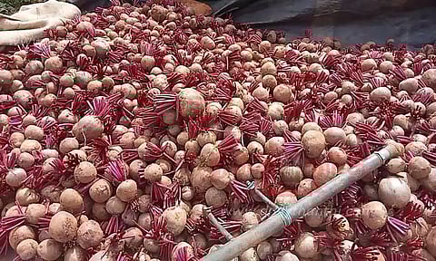 பீட்ரூட் கொள்முதல் விலை உயர்வு