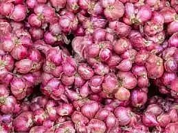 நோய் தாக்கத்தால் விளைச்சல் பாதிப்பு:உழவர் சந்தைகளில் சின்ன வெங்காயம் விலை உயர்வுஒரு கிலோ ரூ.120-க்கு விற்பனை