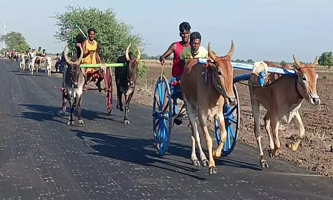 விளாத்திகுளம் அருகே மாட்டு வண்டி பந்தயம்