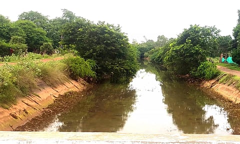 சம்பா சாகுபடிக்கு தயாரான நிலையில் பாசன நீர் நிறுத்தம்