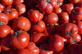 15 ரேஷன் கடைகளில் தக்காளி கிலோ ரூ.60-க்கு விற்பனை