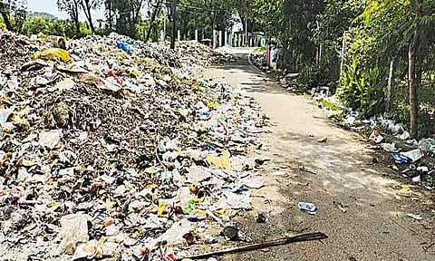 பள்ளிப்பட்டு பேரூராட்சியில் சாலையில் குவிந்து கிடக்கும் குப்பைகளை அகற்ற பொதுமக்கள் கோரிக்கை