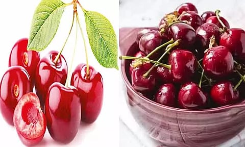 செர்ரி பழம்: புளிக்கும், இனிக்கும்..!