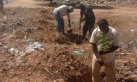 மரக்கன்றுகள் நடும் நிகழ்ச்சி