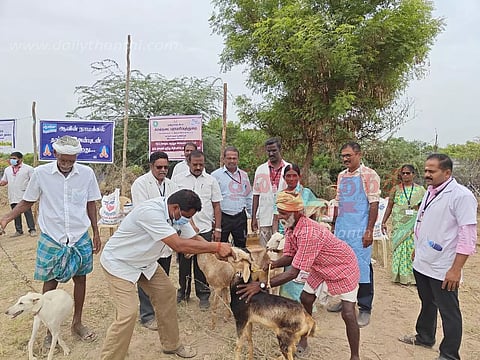 கால்நடை மருத்துவ முகாம்