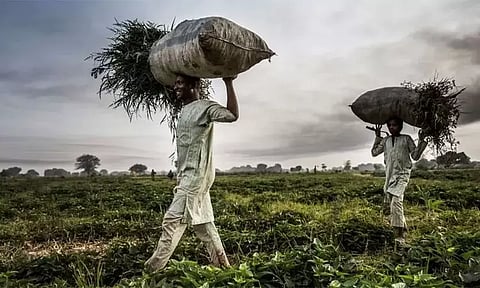 விலைவாசி உயர்வு: நைஜீரியாவில் அவசர நிலை பிரகடனம்