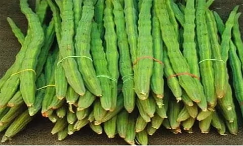 6 டன் முருங்கைக்காய் வரத்து