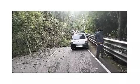 கோத்தகிரி-மேட்டுப்பாளையம் சாலையில்ராட்சத மரம் விழுந்து போக்குவரத்து பாதிப்பு