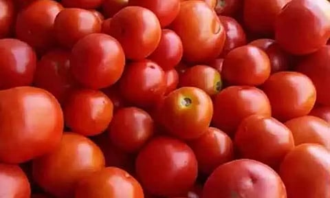 சென்னை, கோயம்பேடு சந்தையில் தக்காளி விலை இன்று கிலோவுக்கு ரூ 5 உயர்வு