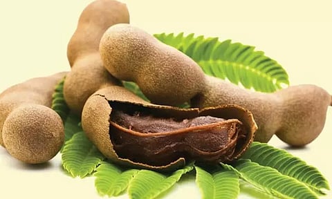 செரிமான மண்டலத்தை சீர் செய்யும் 'புளி'