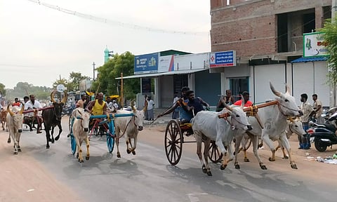 மாட்டு வண்டி எல்கை பந்தயம்