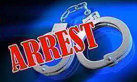 நிதிநிறுவனம் நடத்தி மோசடி செய்த 3 வாலிபர்கள் கைது