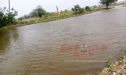 தண்ணீரில் மூழ்கிய நெற்பயிர்கள்