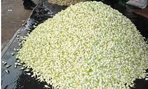 பூக்கள் விலை 'கிடுகிடு' உயர்வு