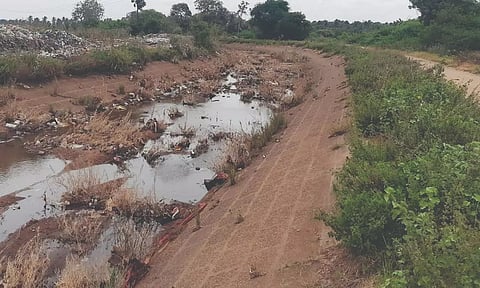 புதர் மண்டியும், சேதமடைந்தும் காணப்படும் அமராவதி பிரதான கால்வாயை பராமரிக்க வேண்டும்