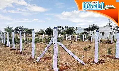 காலி நிலம் மற்றும் வீட்டு மனைகளுக்கு எல்லையிட்டு பாதுகாப்பது அவசியம்