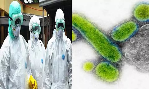 மங்கோலியாவில் வேகமாக பரவும் பிளேக் நோய்