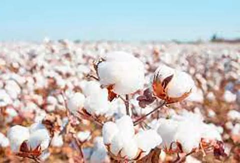 கொங்கணாபுரம் கூட்டுறவு சங்கத்தில் ரூ.1½ கோடிக்கு பருத்தி விற்பனை