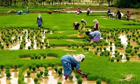 சமூகம் தாங்கும் வேளாண்மை