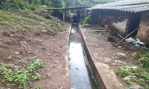 கொளப்பள்ளி அரசு தேயிலை தோட்டத்தில் மூடி இல்லாத சாக்கடை கால்வாயால் நோய் பரவும் அபாயம்-உரிய நடவடிக்கை எடுக்க பொதுமக்கள் வலியுறுத்தல்