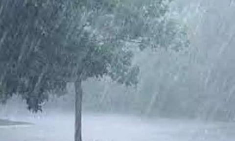 குமரியில் பரவலாக மழை