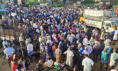 அய்யலூர் சந்தையில் ஆடுகள் விற்பனை அமோகம்