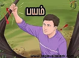 தேன்கனிக்கோட்டை அருகேகிராமத்தில் சுற்றித்திரிந்த யானையால் பொதுமக்கள் அச்சம்