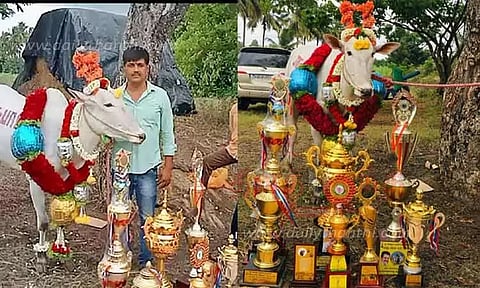 ஹல்லிகர் இன காளை மாடு ரூ.9¼ லட்சத்துக்கு விற்பனை