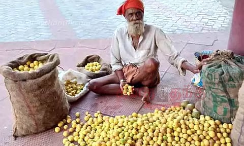 எலுமிச்சை விலை வீழ்ச்சியால் விவசாயிகள் வேதனை- கிலோ ரூ.8-க்கு விற்பனை