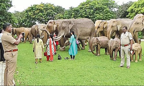 மாமல்லபுரம் கடற்கரை கோவில் வளாகத்தில் மூங்கில் யானை சிலைகள்